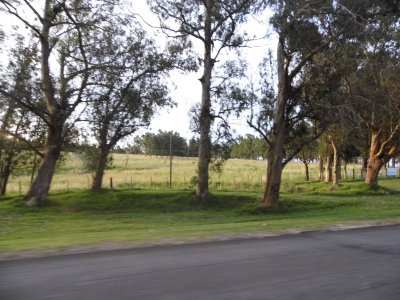 Excelente fracción de 5 has. sobre ruta 104 , a pocos kilómetros del mar.
tiene sobre ruta 104  170 metros de frente   , fondo 216 metros 
laterales 222 metros y 285 metros
Eucaliptus  , vistas onduladas 
Lindo entorno


