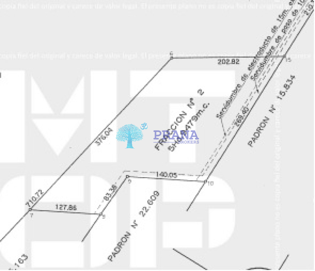 5.9 has cerca de Fassano - GoPunta - Portal Inmobiliario de Punta del Este - Maldonado
