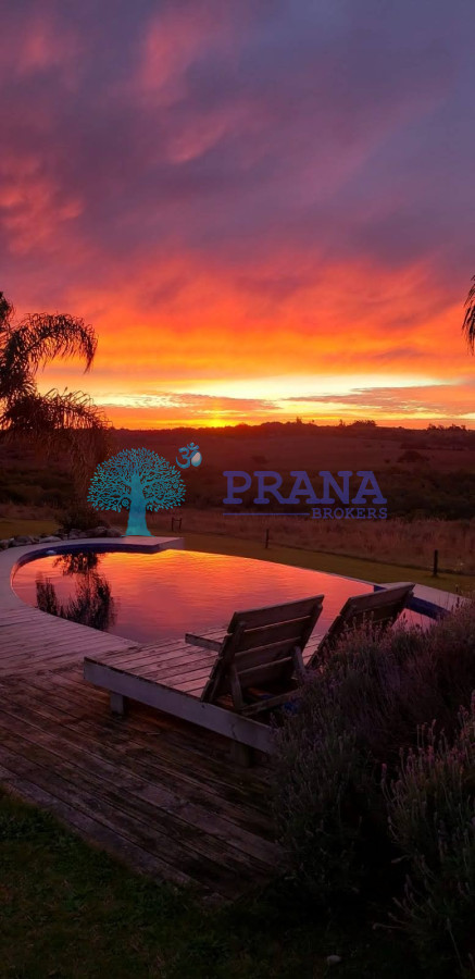 Hermosa chacra de 39 hs con casa - GoPunta - Portal Inmobiliario de Punta del Este - Maldonado