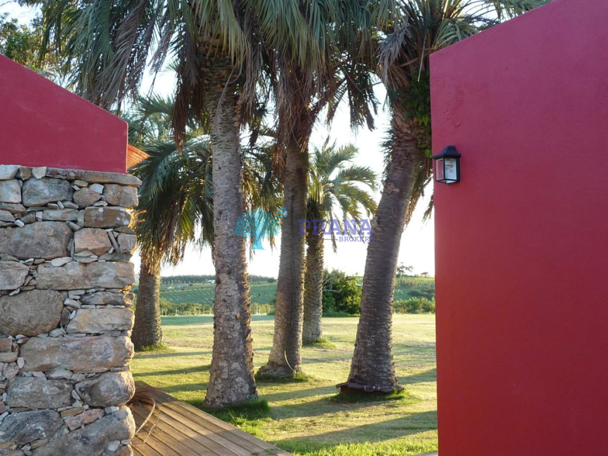 Hermosa chacra de 39 hs con casa - GoPunta - Portal Inmobiliario de Punta del Este - Maldonado