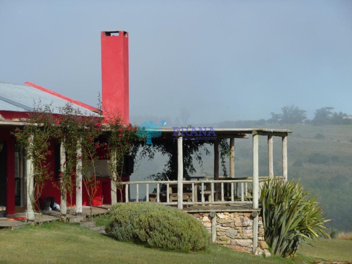 Hermosa chacra de 39 hs con casa - GoPunta - Portal Inmobiliario de Punta del Este - Maldonado