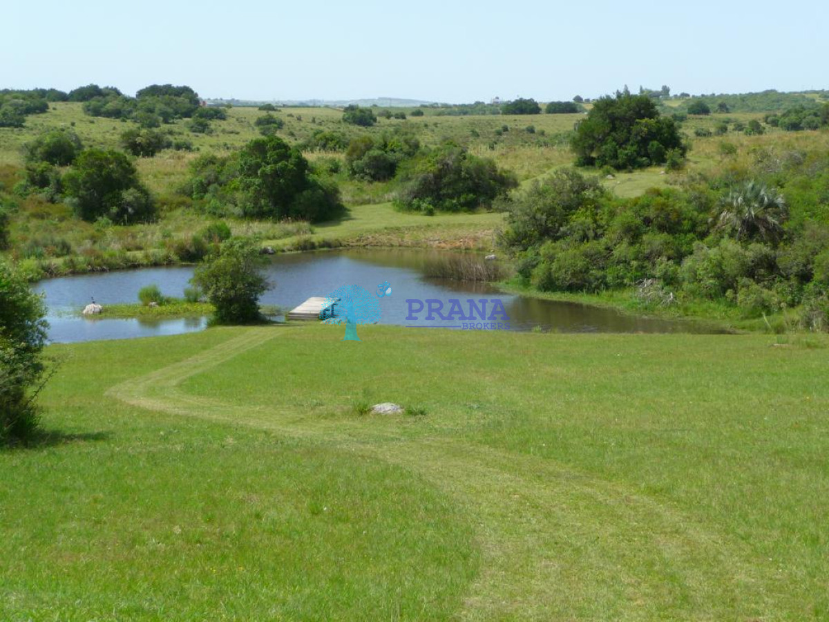 Hermosa chacra de 39 hs con casa - GoPunta - Portal Inmobiliario de Punta del Este - Maldonado