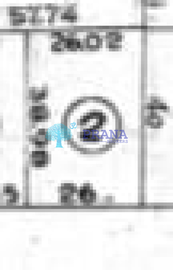 Chihuahua - GoPunta - Portal Inmobiliario de Punta del Este - Maldonado