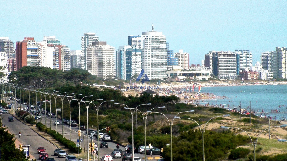 Mansa - GoPunta - Portal Inmobiliario de Punta del Este - Maldonado