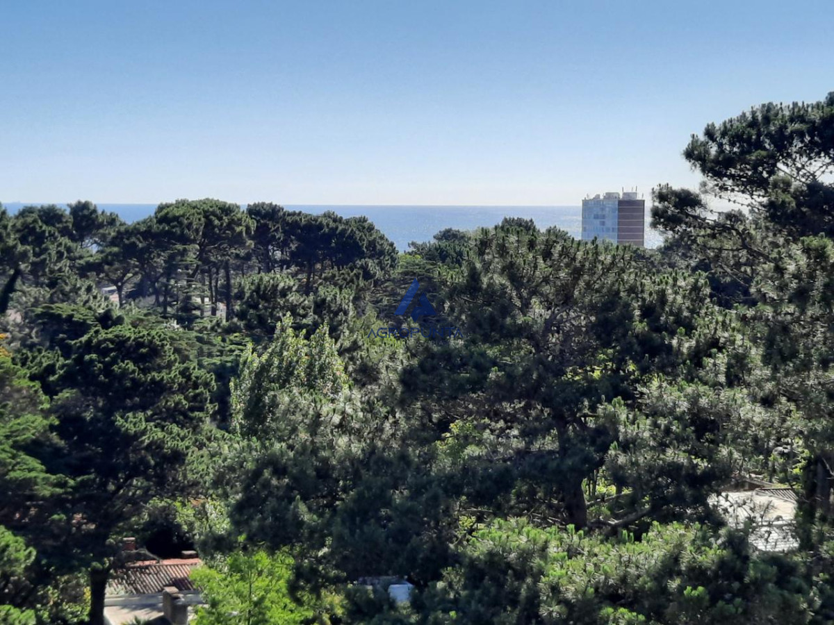 Roosevelt - GoPunta - Portal Inmobiliario de Punta del Este - Maldonado