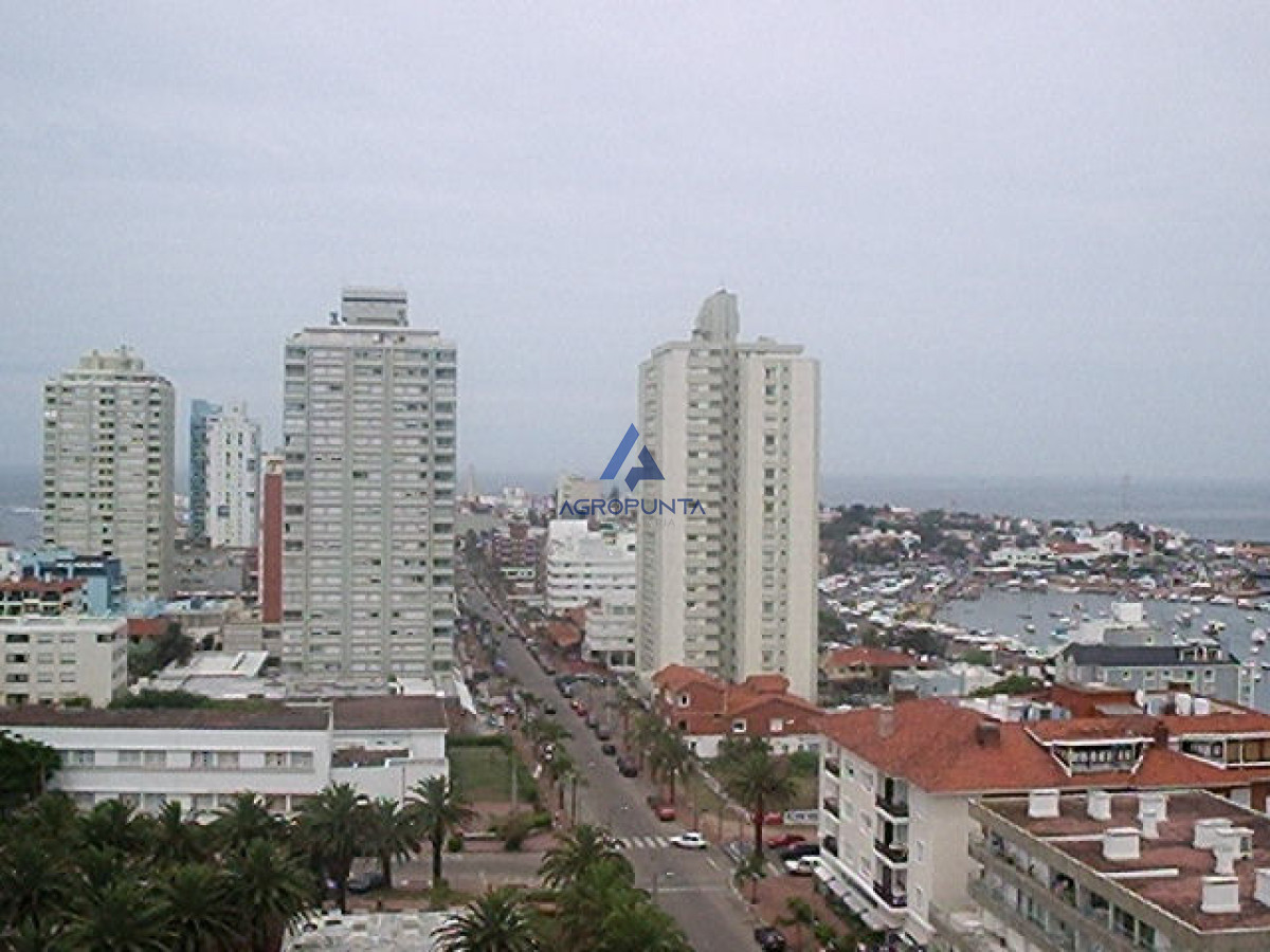 Penu00ednsula - GoPunta - Portal Inmobiliario de Punta del Este - Maldonado