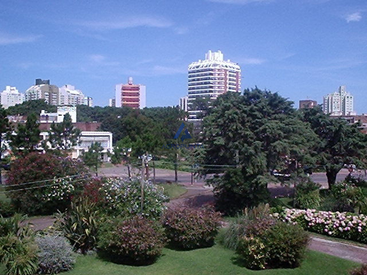 Aidy Grill - GoPunta - Portal Inmobiliario de Punta del Este - Maldonado