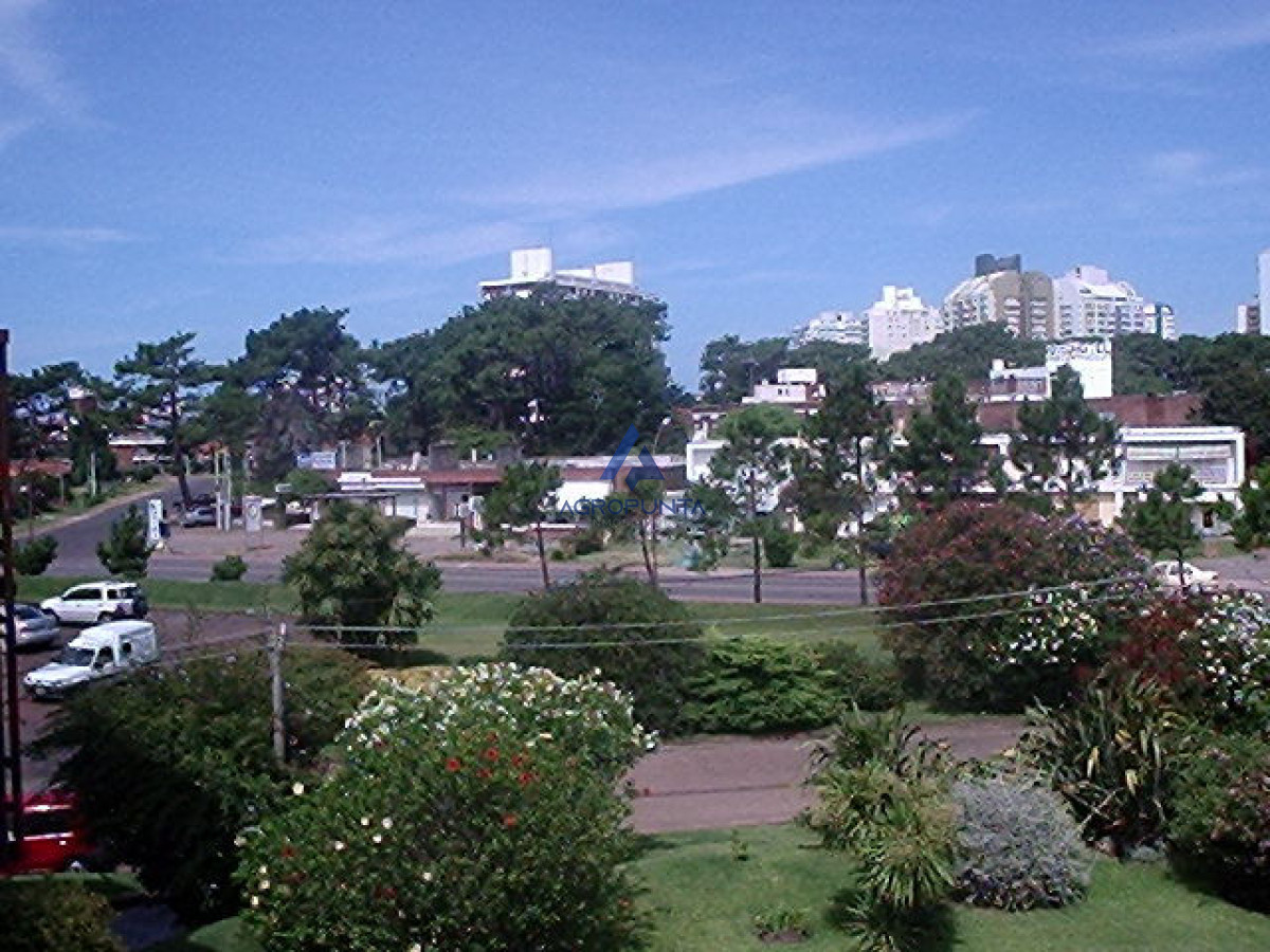Aidy Grill - GoPunta - Portal Inmobiliario de Punta del Este - Maldonado