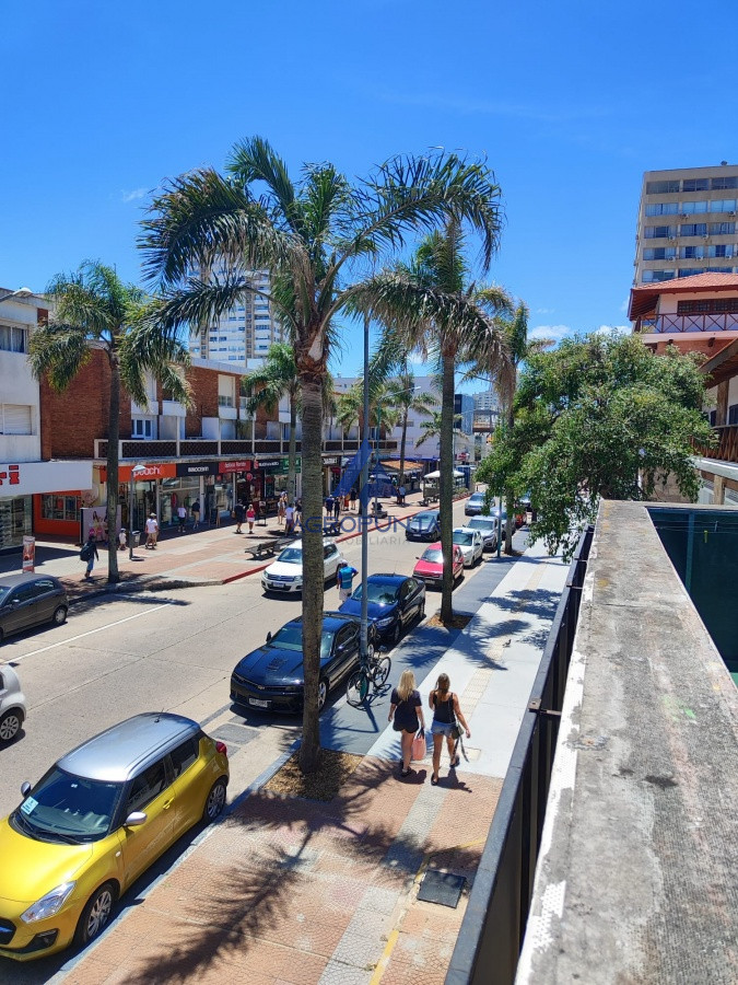 Peninsula - GoPunta - Portal Inmobiliario de Punta del Este - Maldonado