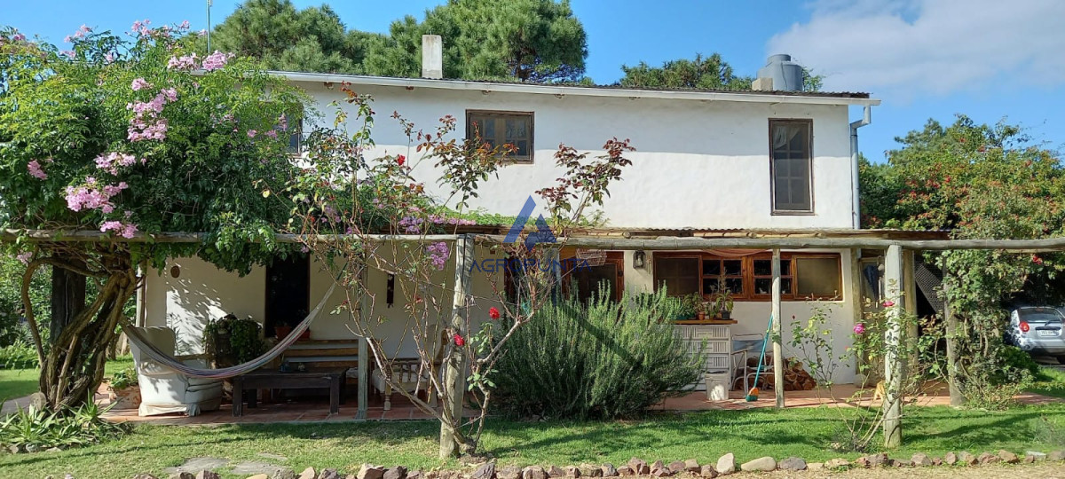 Balneario Buenos Aires - GoPunta - Portal Inmobiliario de Punta del Este - Maldonado