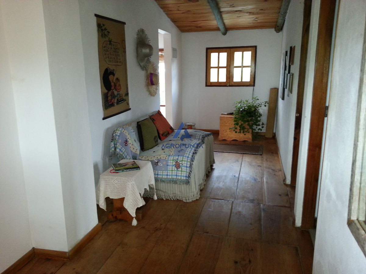 Balneario Buenos Aires - GoPunta - Portal Inmobiliario de Punta del Este - Maldonado