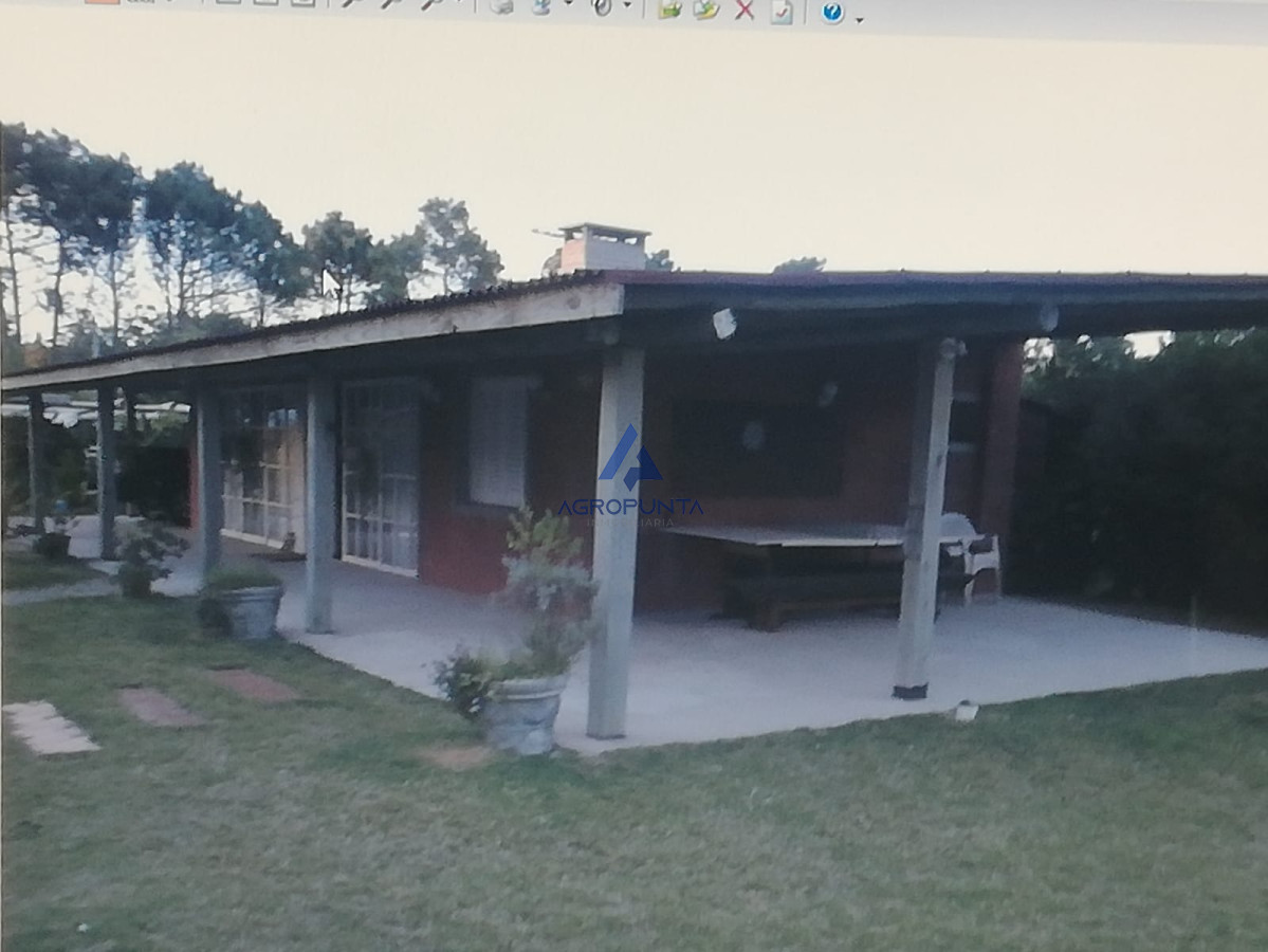 Balneario Buenos Aires - GoPunta - Portal Inmobiliario de Punta del Este - Maldonado