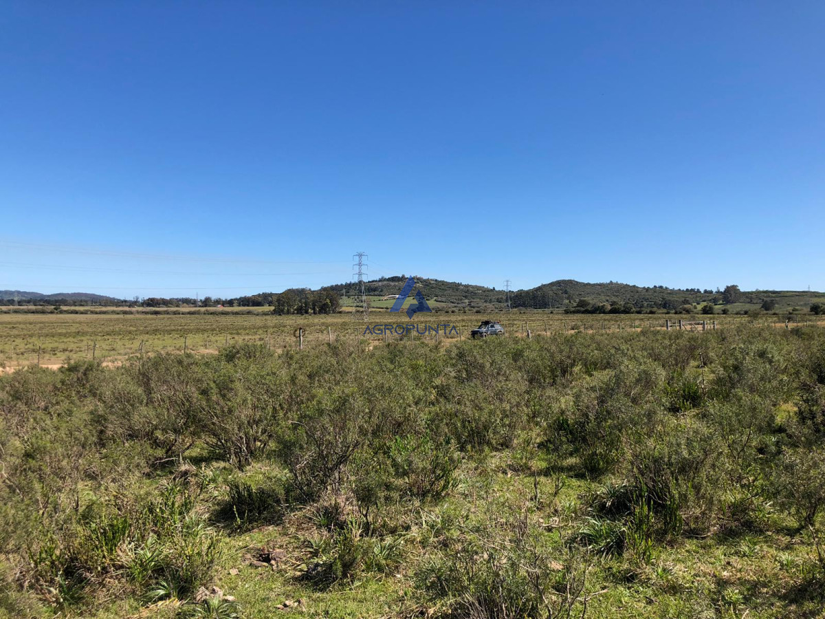 Ruta 9 - GoPunta - Portal Inmobiliario de Punta del Este - Maldonado