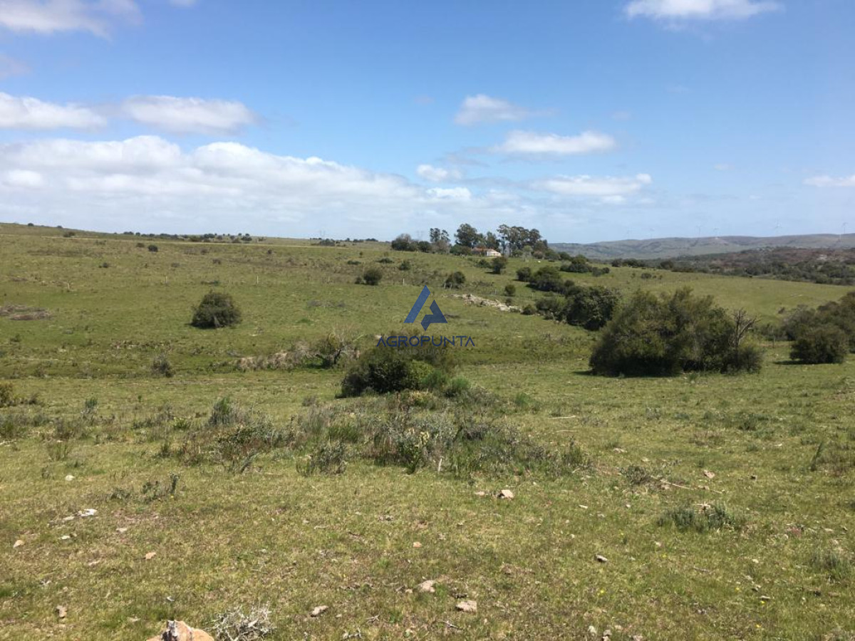 Aiguá - GoPunta - Portal Inmobiliario de Punta del Este - Maldonado