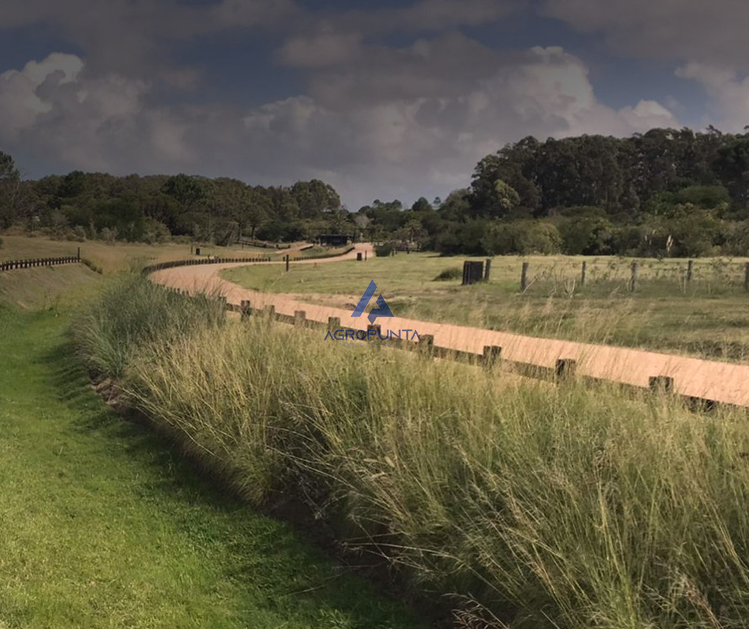 Arenas de José Ignacio - GoPunta - Portal Inmobiliario de Punta del Este - Maldonado