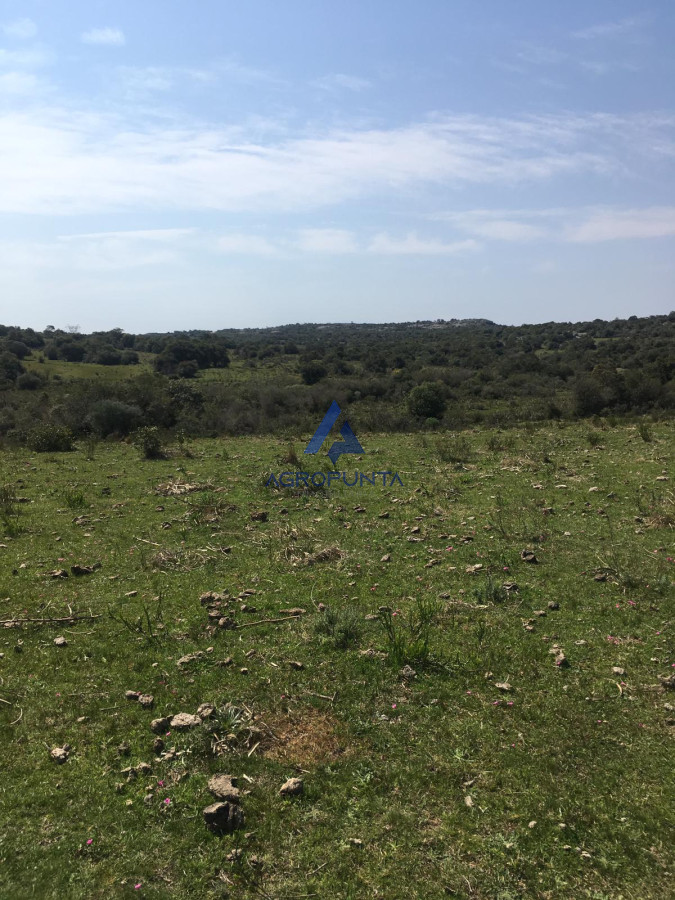 Zona Rural - GoPunta - Portal Inmobiliario de Punta del Este - Maldonado