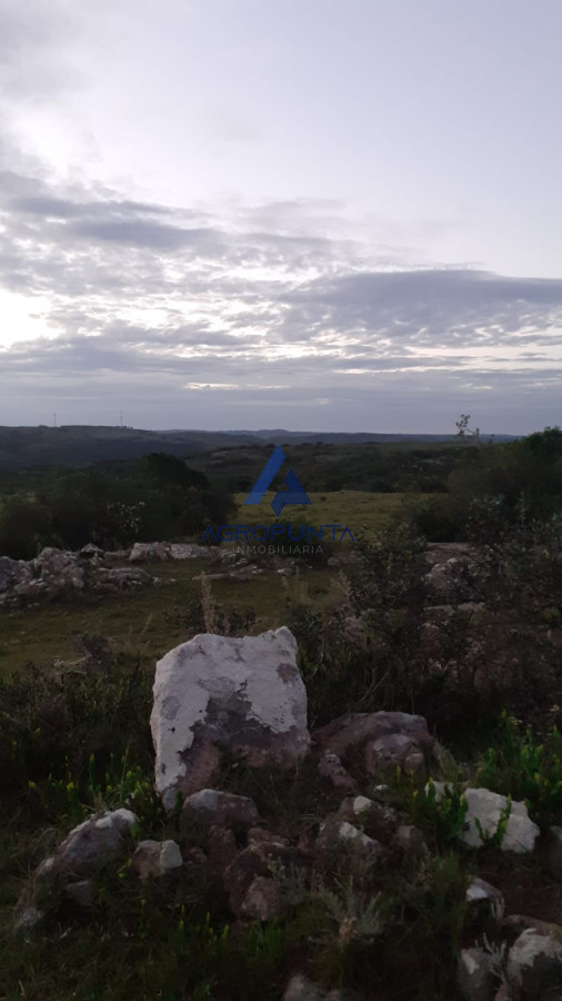 Zona Rural - GoPunta - Portal Inmobiliario de Punta del Este - Maldonado