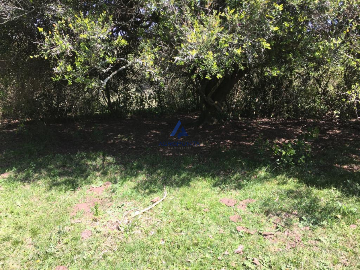 Zona Rural - GoPunta - Portal Inmobiliario de Punta del Este - Maldonado