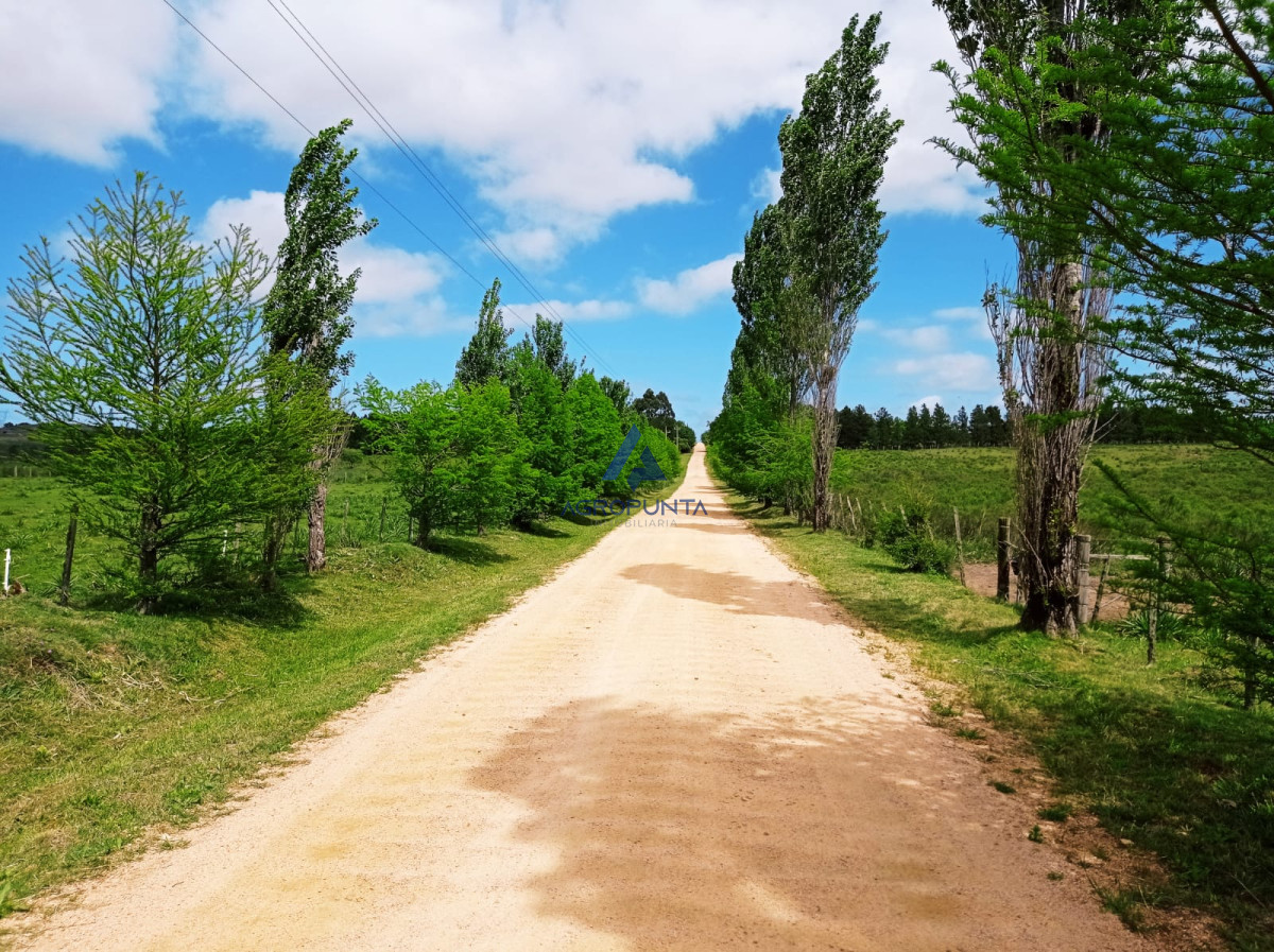 Pueblo Eden - GoPunta - Portal Inmobiliario de Punta del Este - Maldonado