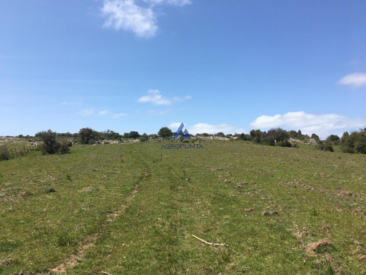 Aiguá - GoPunta - Portal Inmobiliario de Punta del Este - Maldonado