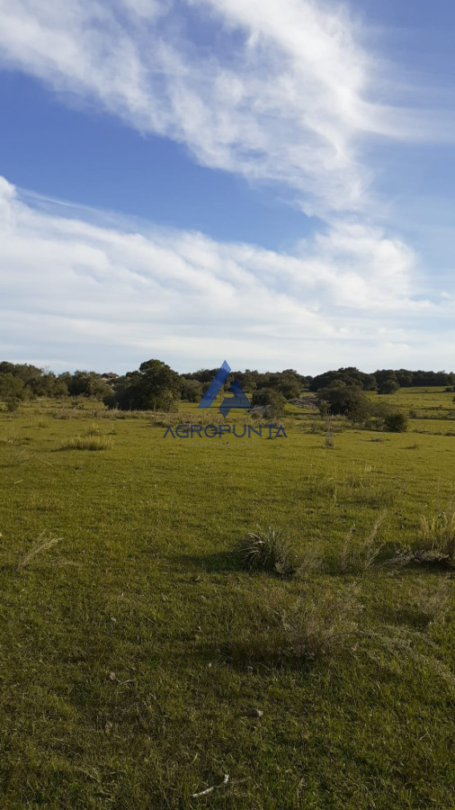 Zona Rural - GoPunta - Portal Inmobiliario de Punta del Este - Maldonado