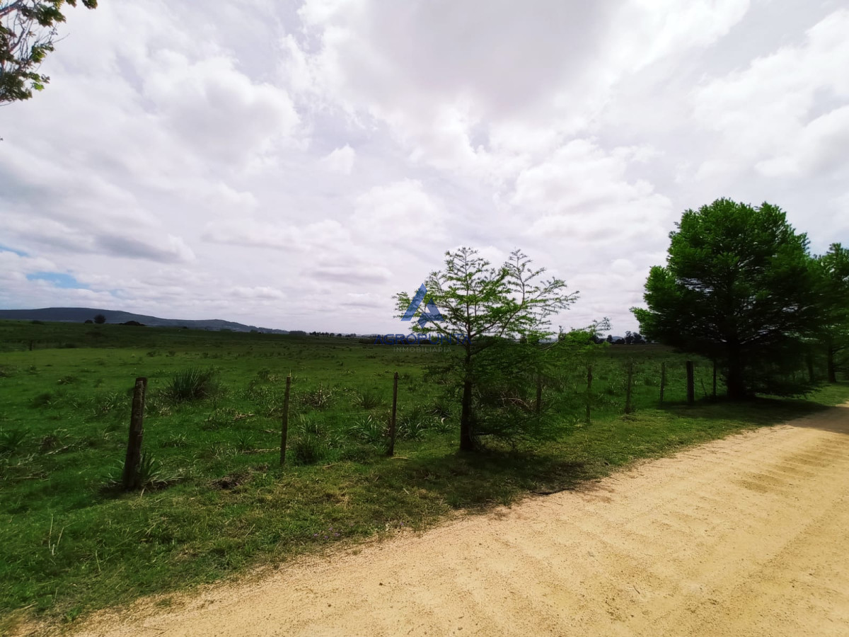 Pueblo Eden - GoPunta - Portal Inmobiliario de Punta del Este - Maldonado