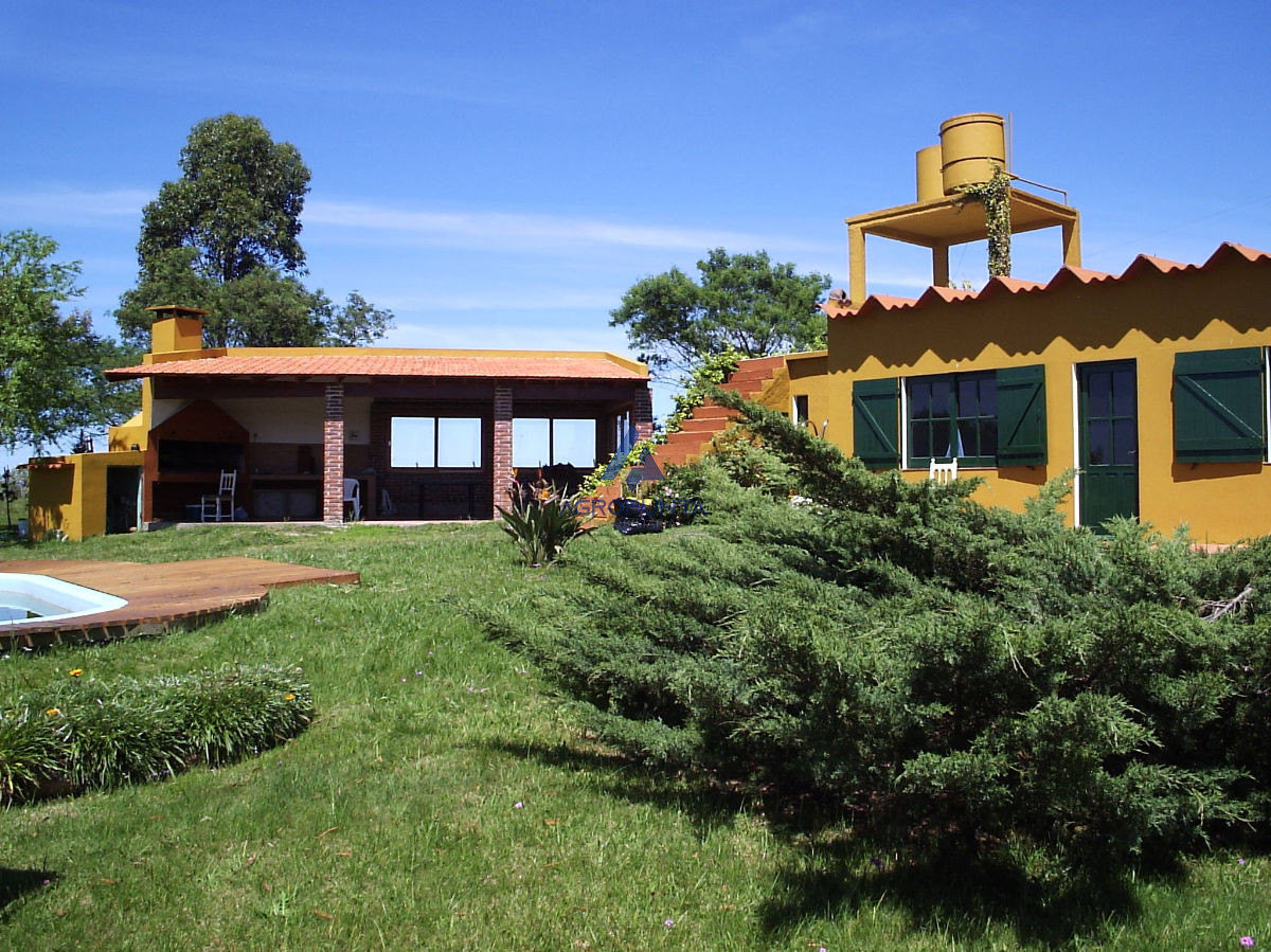 Medellin - GoPunta - Portal Inmobiliario de Punta del Este - Maldonado