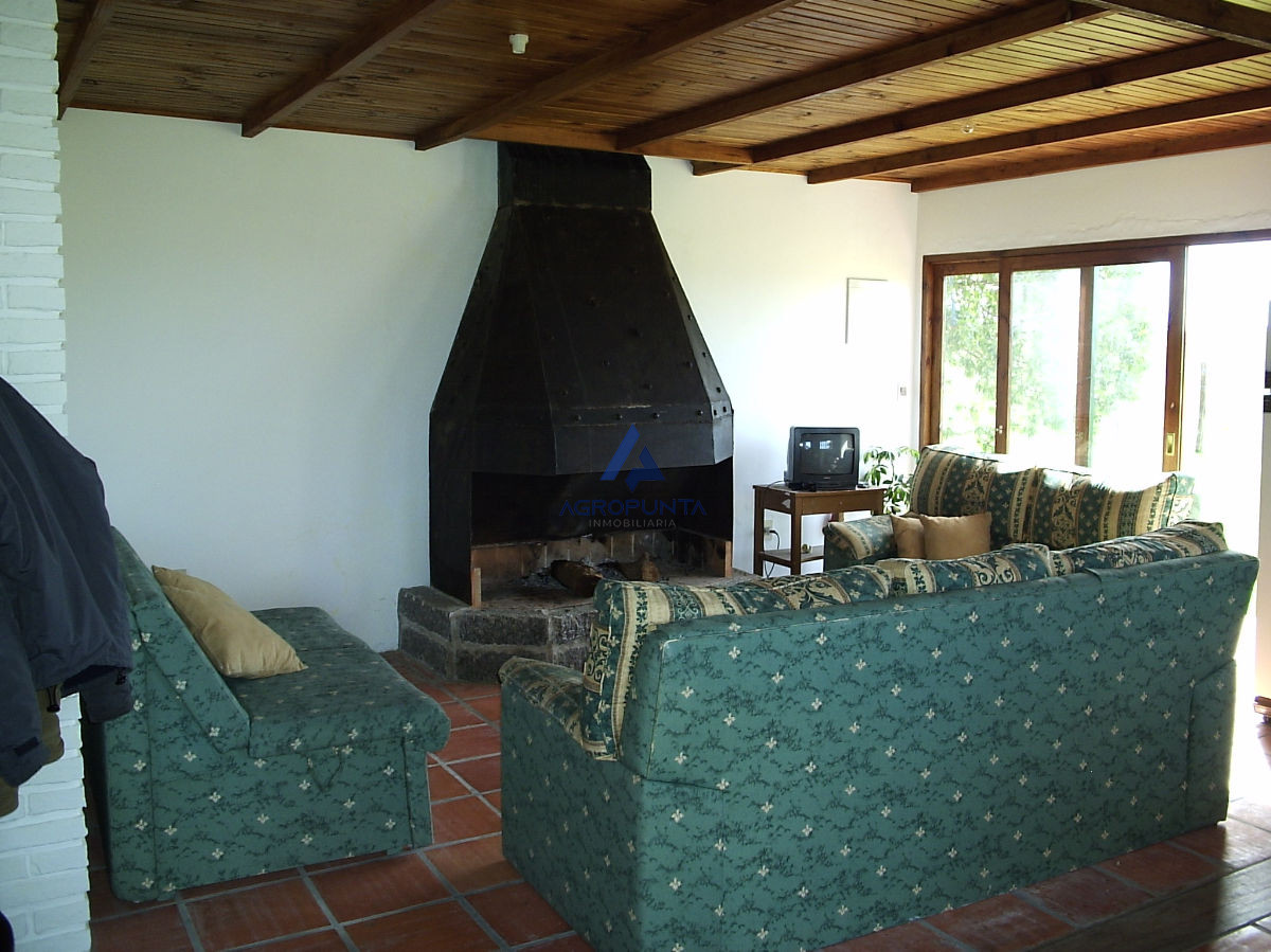 Medellin - GoPunta - Portal Inmobiliario de Punta del Este - Maldonado