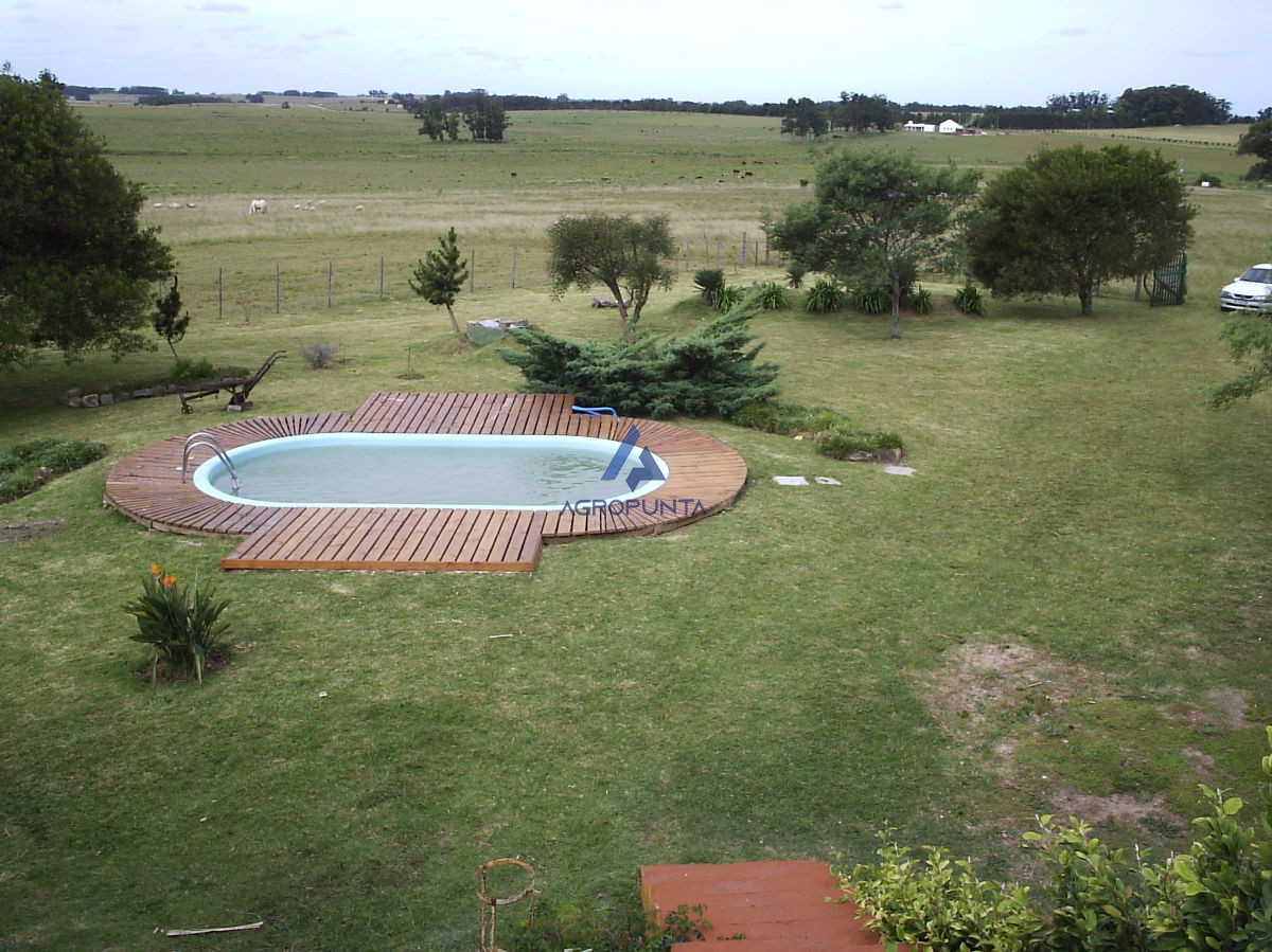 Medellin - GoPunta - Portal Inmobiliario de Punta del Este - Maldonado