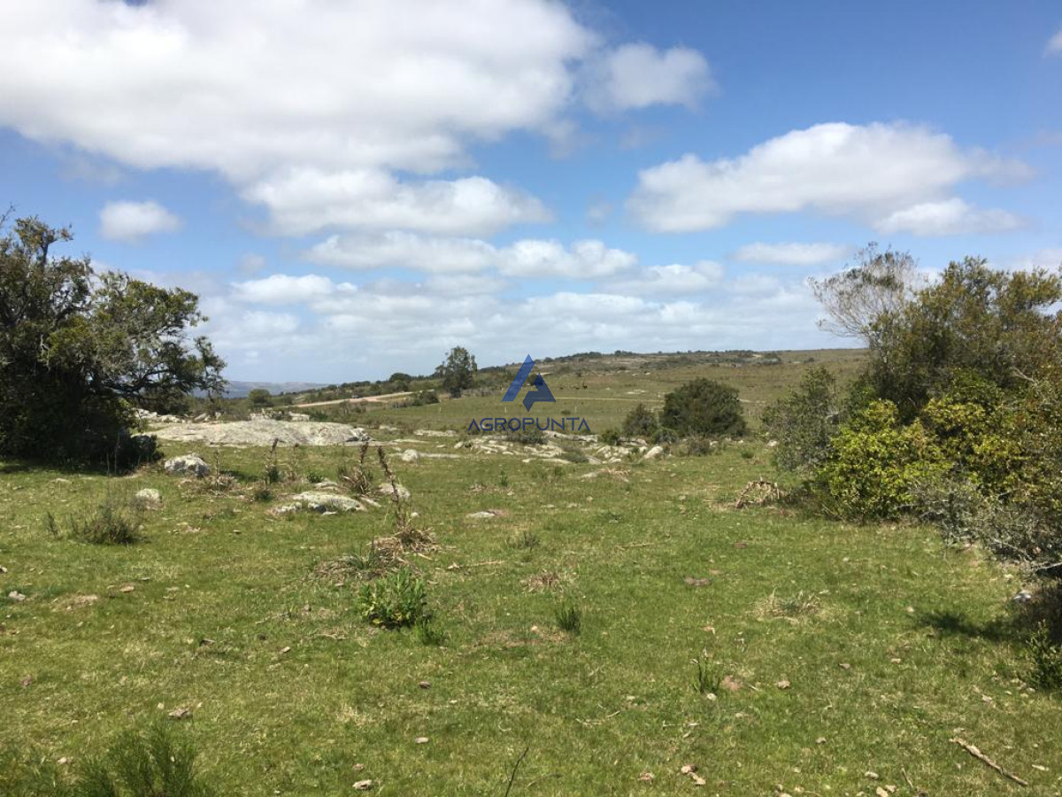 Aiguá - GoPunta - Portal Inmobiliario de Punta del Este - Maldonado