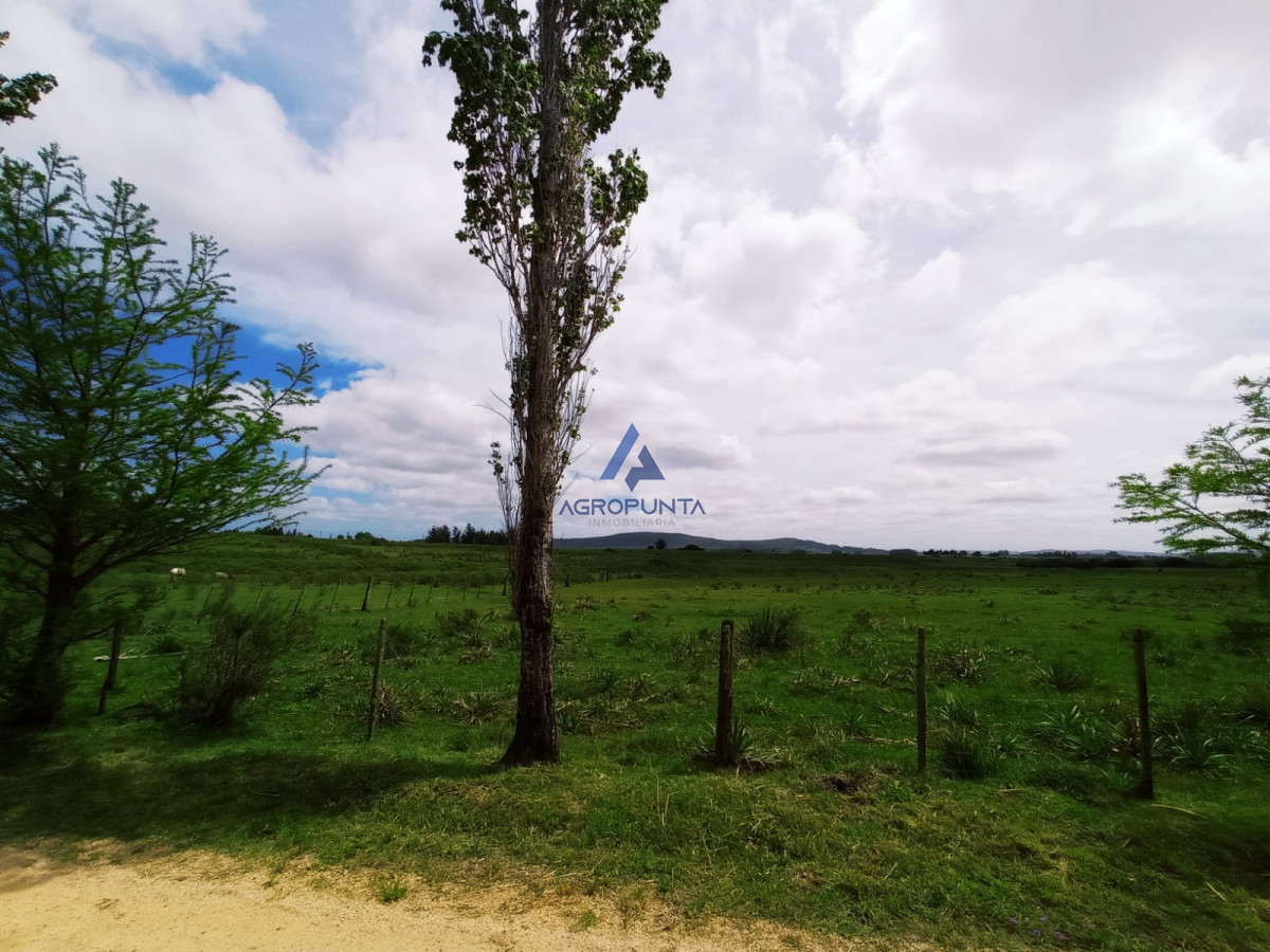 Pueblo Eden - GoPunta - Portal Inmobiliario de Punta del Este - Maldonado