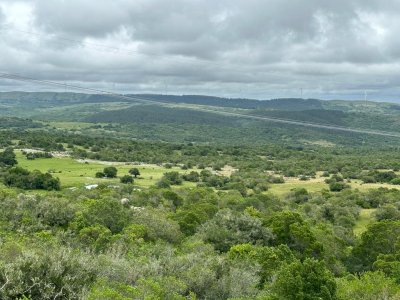 Chacra Ruta 39