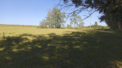 Chacra en venta 