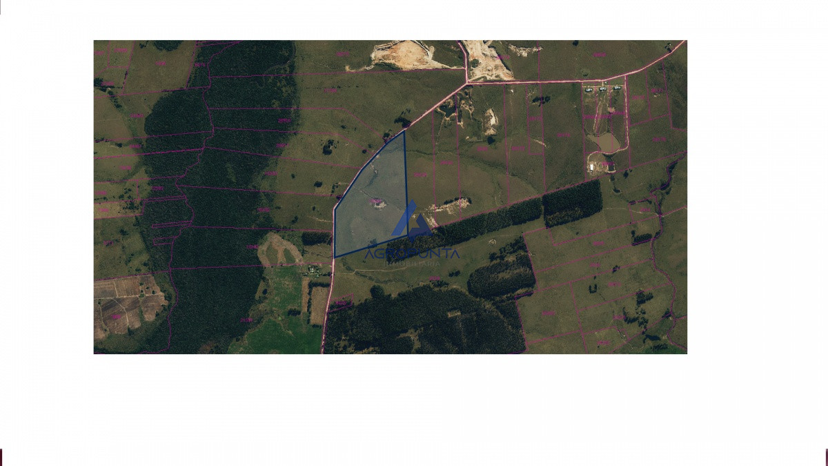 Campo en venta - GoPunta - Portal Inmobiliario de Punta del Este - Maldonado