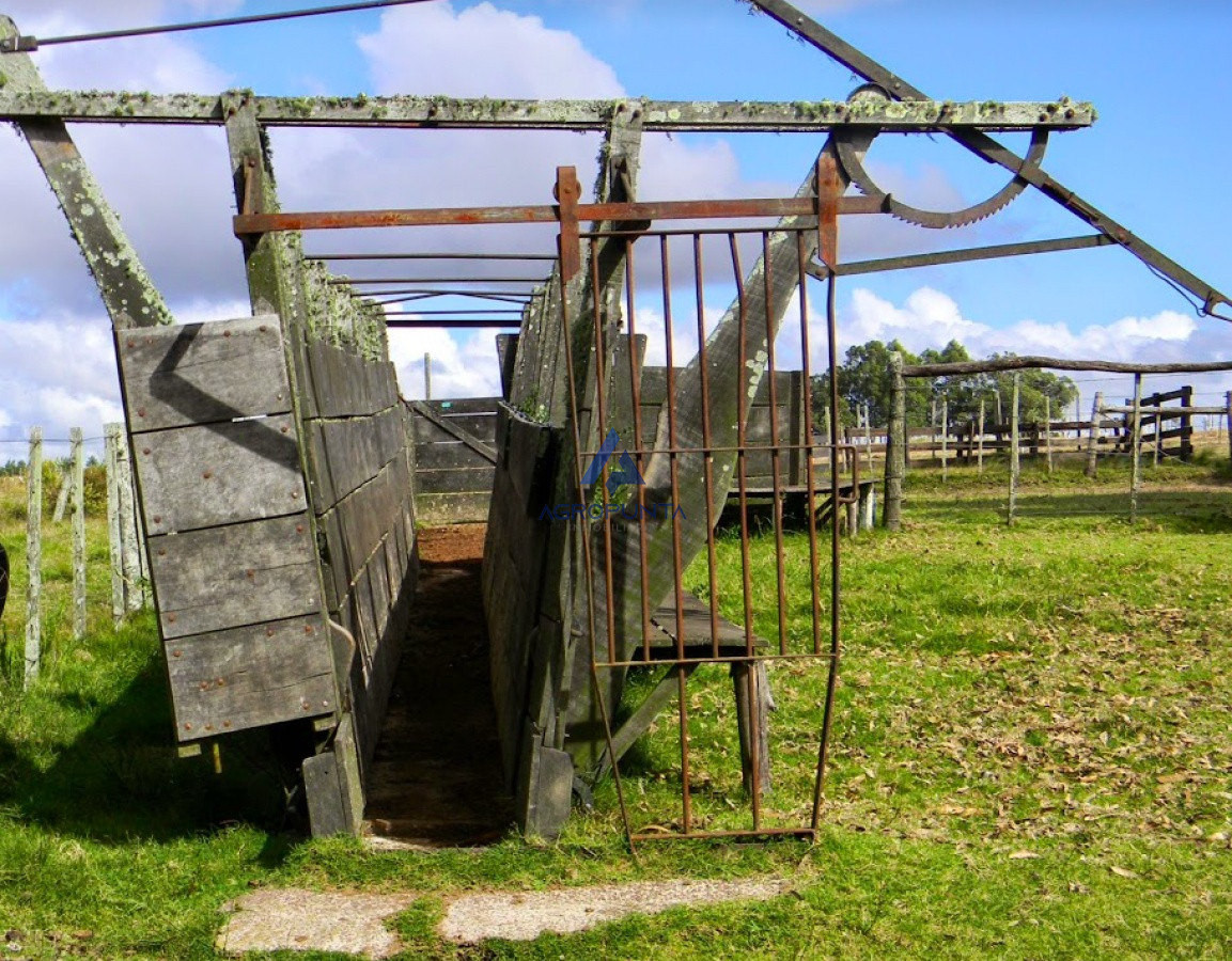 Campo en venta 96hec - GoPunta - Portal Inmobiliario de Punta del Este - Maldonado