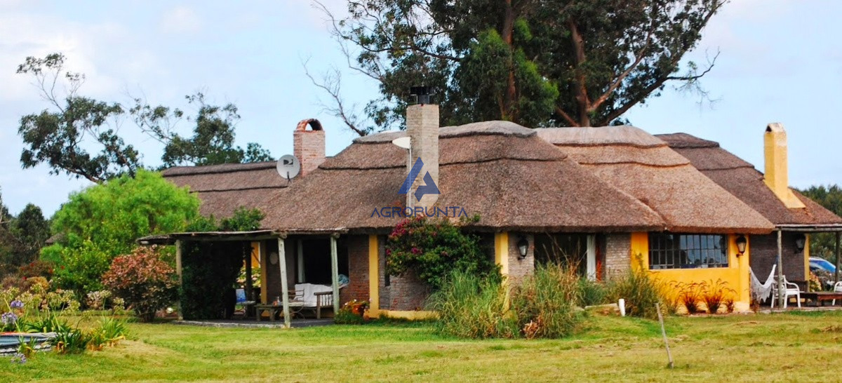 Campo en venta 96hec - GoPunta - Portal Inmobiliario de Punta del Este - Maldonado