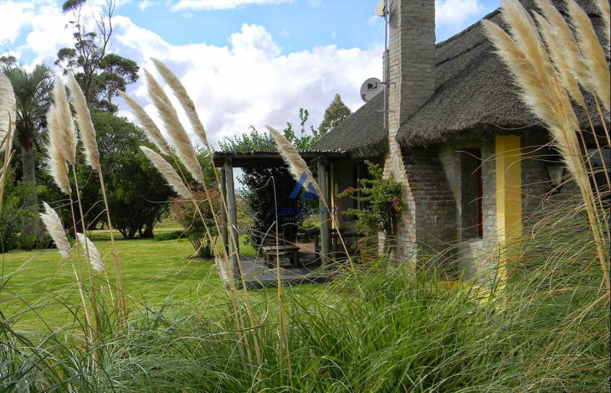 Campo en venta 96hec - GoPunta - Portal Inmobiliario de Punta del Este - Maldonado