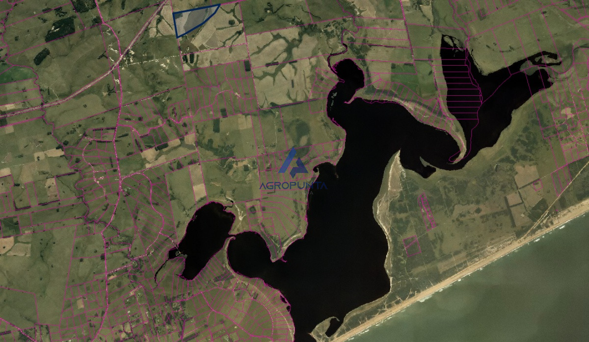 Campo en ruta 39 - GoPunta - Portal Inmobiliario de Punta del Este - Maldonado