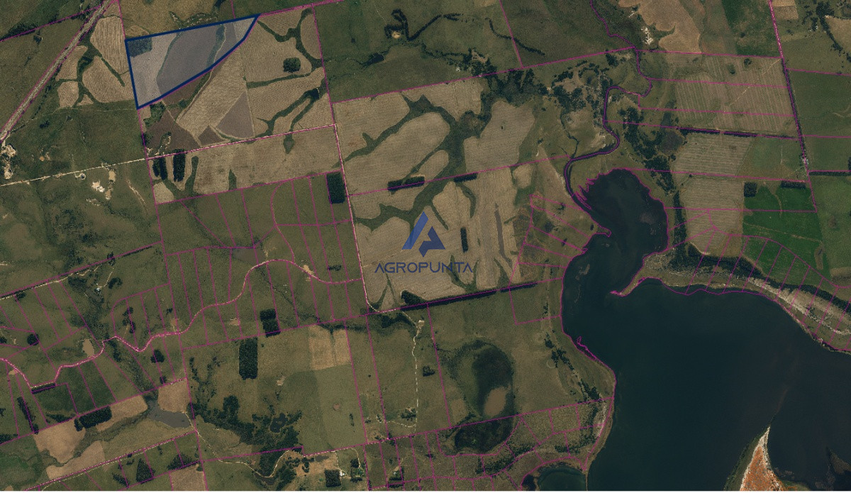 Campo en ruta 39 - GoPunta - Portal Inmobiliario de Punta del Este - Maldonado