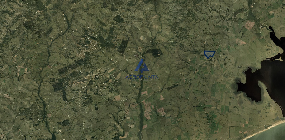campo sobre ruta - GoPunta - Portal Inmobiliario de Punta del Este - Maldonado