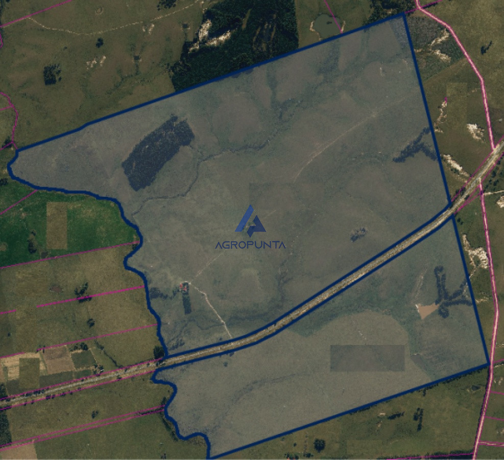 Ruta 9 cerca de jose ignacio - GoPunta - Portal Inmobiliario de Punta del Este - Maldonado