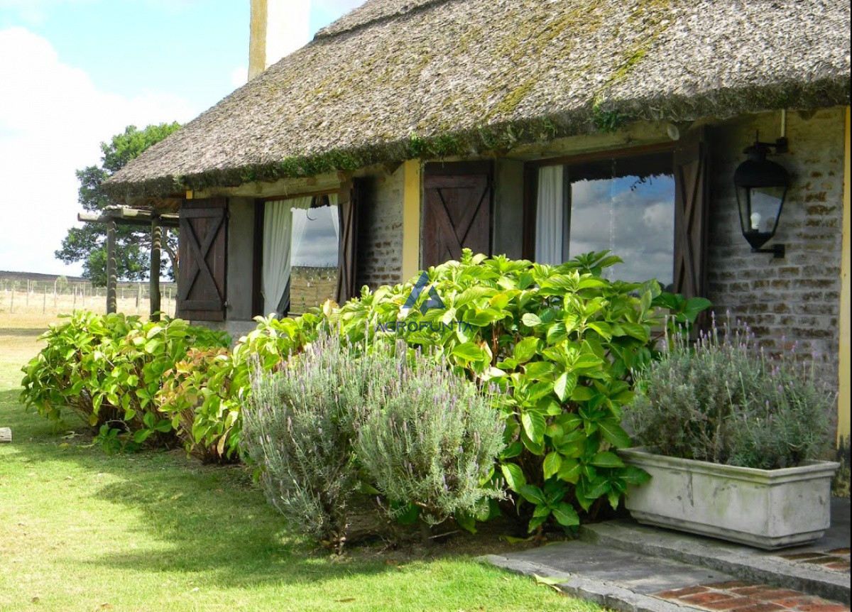 Campo en venta 96hec - GoPunta - Portal Inmobiliario de Punta del Este - Maldonado