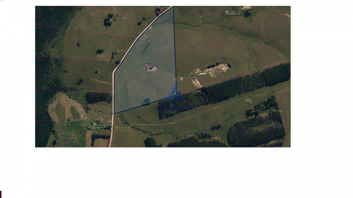 Campo en venta - GoPunta - Portal Inmobiliario de Punta del Este - Maldonado