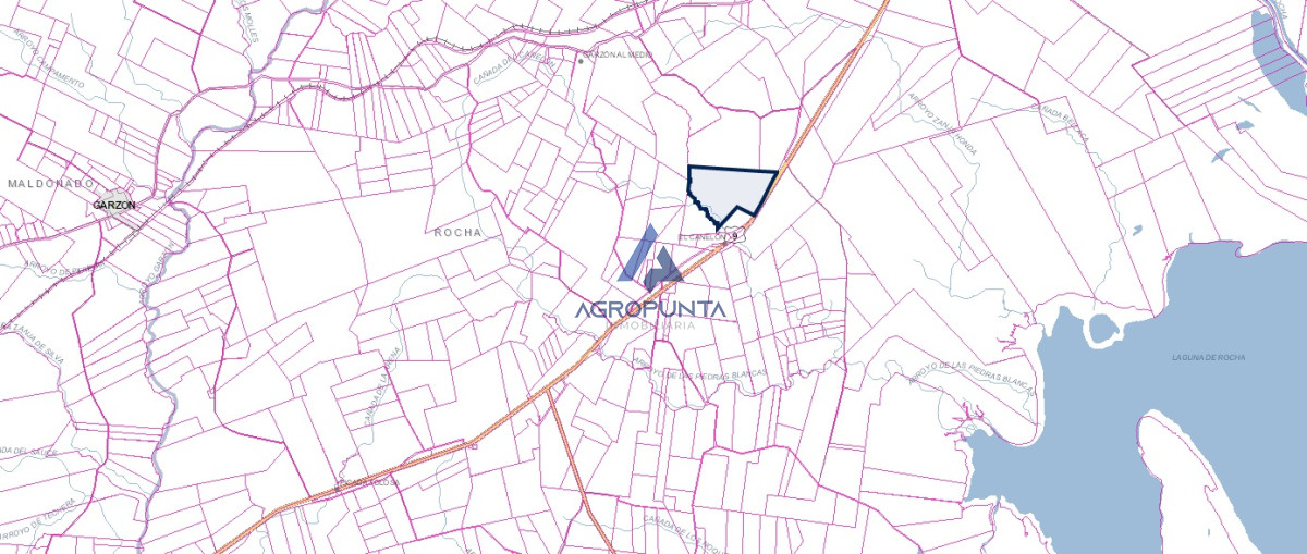campo sobre ruta - GoPunta - Portal Inmobiliario de Punta del Este - Maldonado