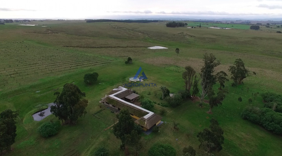 Campo en venta 96hec - GoPunta - Portal Inmobiliario de Punta del Este - Maldonado