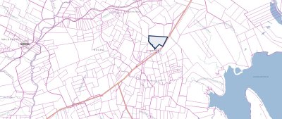 campo sobre ruta