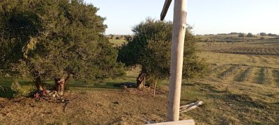 Chacra en Venta en Garzón