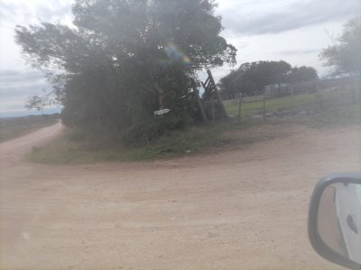 86 HECTAREAS FORESTAL RUTA 109 