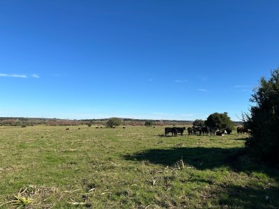 42 Hás Pueblo Edén, Buen índice CONEAT, Excelentes Vistas