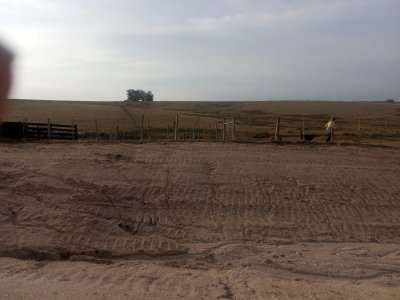 Campo en venta!
